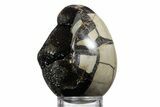 Septarian Dragon Egg Geode - Sparkly Black Crystals #356147-1